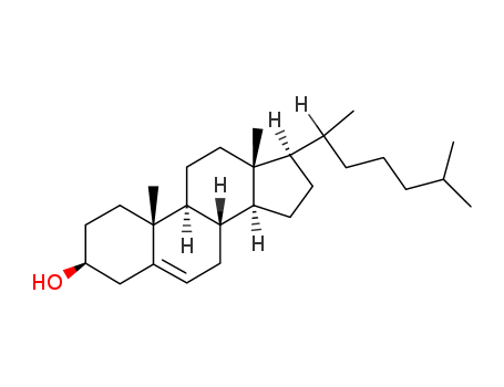 Cholesterol