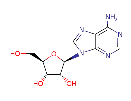 adenosine