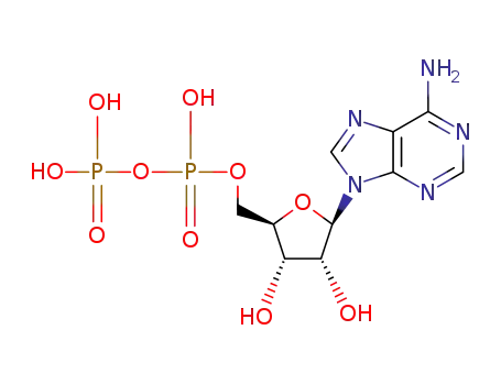 adenosine 5'-diphosphate