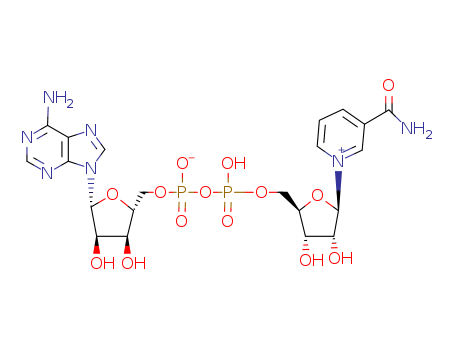 beta-Diphosphopyridine nucleotide